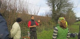 Wood Fuel Hub project steps up a gear with workshop in Slapton next Tuesday