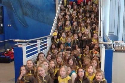Brownies get to sleep with the fishes during night time adventure at Plymouth's National Marine Aquarium