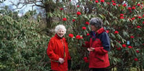 St Luke's comes to Lukesland for charity garden opening