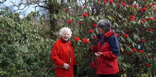 St Luke's comes to Lukesland for charity garden opening