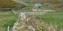 National Trust rangers give guided tours of South Hams beauty spot