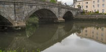 Dramatic reduction in Totnes planters