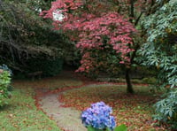 Mansion on the edge of the moor opens its gates for the best of autumn colour this weekend