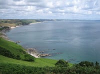 First seaweed farm in England is planned for the South Hams