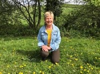 Woman celebrates 70th birthday with wing walk