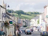 Ivybridge in Bloom: Town eyes 2020 gardening championship