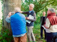 Archdeacon of Totnes meets South Hams tree wardens