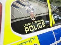 Appeal for information on A38 collision