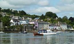 River Dart is the only site in the UK to pass the water quality test