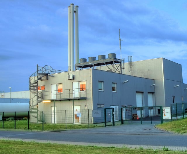 Can biomass replace fossil fuels in our power stations?