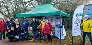 Volunteers help plant cherry trees