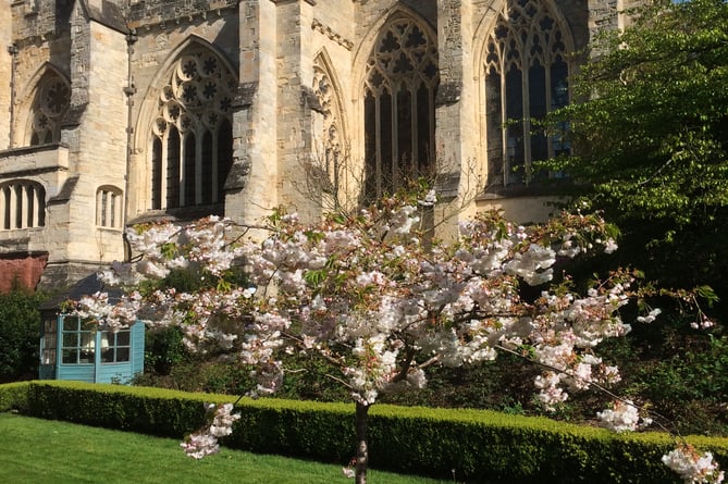 Bishop's Palace Garden