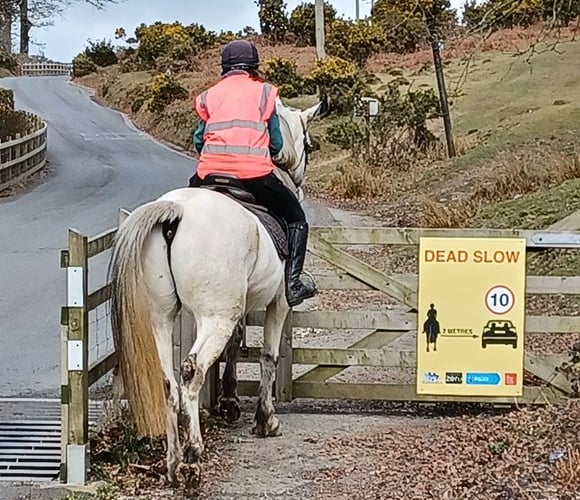 New signs to slow speed around horses in Devon