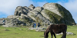 Dartmoor National Park Authority to appeal wild camping ban