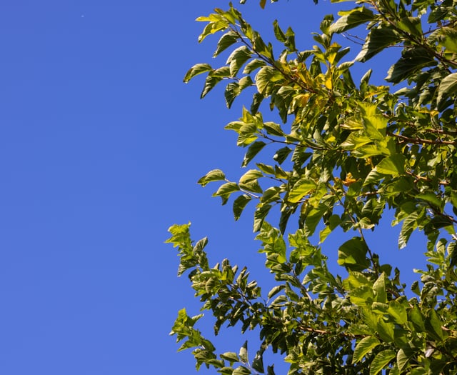 Warmer weather ahead for bank holiday weekend, predicts Met Office