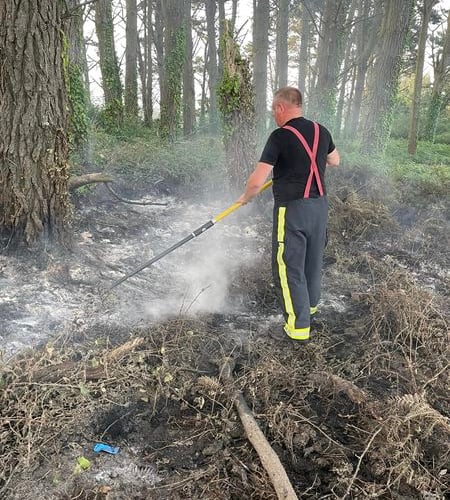 Modbury and Tavistock fire crews tackle Mothecombe grass fire