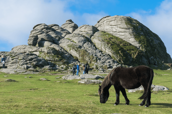 Dartmoor National Park stock image 