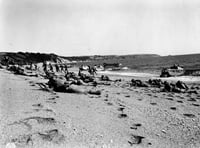 Reliving the D-Day evacuation of Slapton