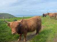 South West Coast Path meeting held at Wembury