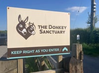 Financial challenges force closure of Ivybridge Donkey Sanctuary