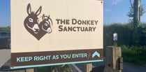 Donkey Sanctuary to shut sites including one in South Hams