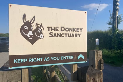 Financial challenges force closure of Ivybridge Donkey Sanctuary