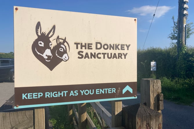 Donkey Sanctuary