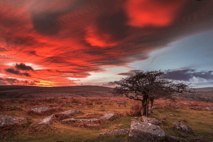 Five hikes to experience Dartmoor's beauty