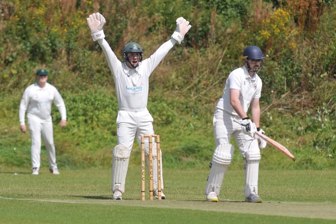 Devon Cricket League B Division.  Teignmouth and Shaldon versus Chudleigh. T&S 'keeper Todd Ballman appeals  for lbw but Chudleigh's Luke Quaintance  is safe.