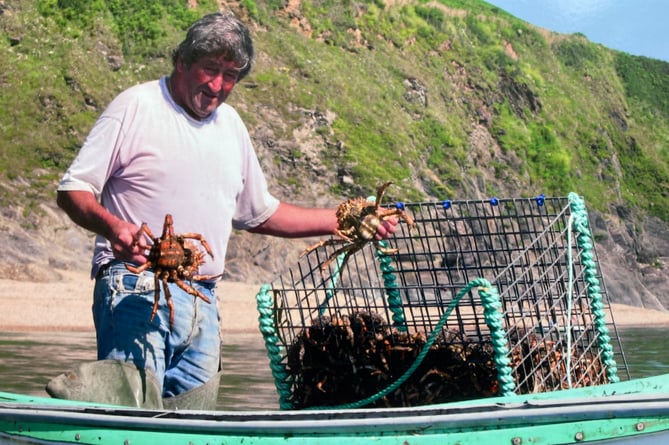 Graham checks the crabs