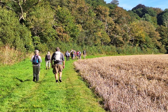 The walk is underway