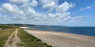 A chance to collect free trees in Slapton