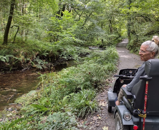 Nature Diary Fiona van Es | Exploring Lydford Gorge by 4WD Tramper