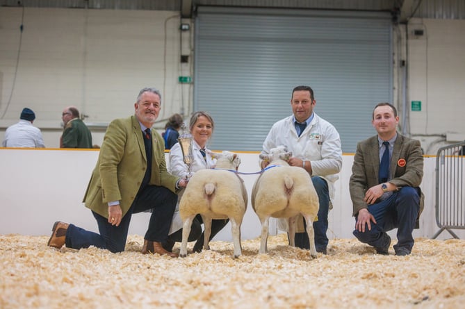 Supreme Champion pair of Texel Lambs - Mr Robert Garth & Sarah Priestly