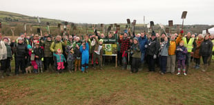 Hope Wood unveiled in South Brent