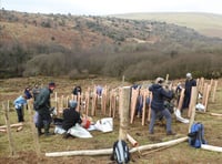 Plan to re-establish ancient woodland is underway